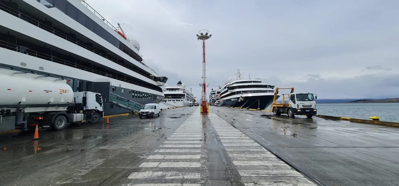 Servicio Tratamiento Cruceros 2